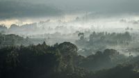 img-title