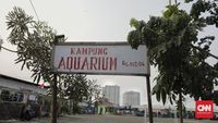 img-title