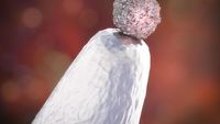 img-title