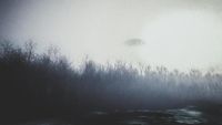 img-title