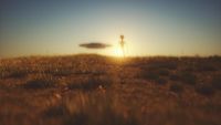img-title