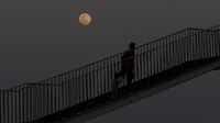 img-title