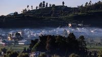 img-title