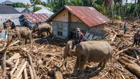 img-title