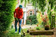 Stock image of adult cutting grass with cordless grass trimmer