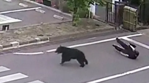A black bear is seen running on a road, with a man dressed in black visible on the ground behind him.