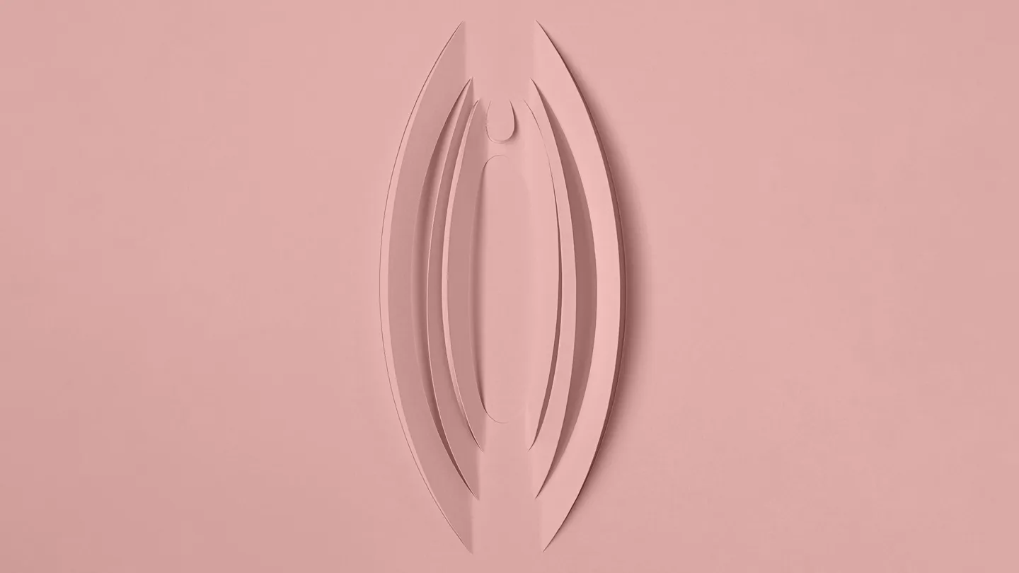 paper cutout abstraction of woman's genitals