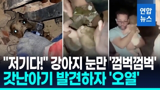 [영상] 흙먼지속 아기, 눈만 껌벅이던 강아지…참혹 현장속 기적의 순간