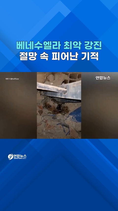  '최악 지진' 베네수엘라…참혹 현장 속 '기적의 순간'